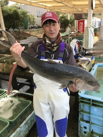 淡路じゃのひれフィッシングパーク 釣果