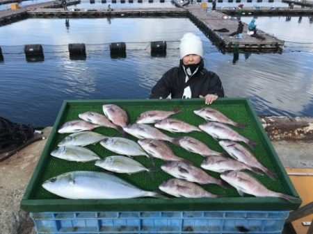 淡路じゃのひれフィッシングパーク 釣果