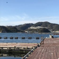 淡路じゃのひれフィッシングパーク 釣果