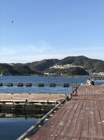 淡路じゃのひれフィッシングパーク 釣果