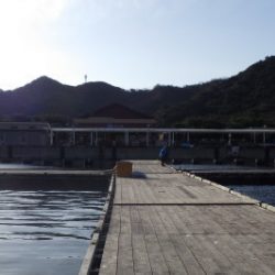 淡路じゃのひれフィッシングパーク 釣果