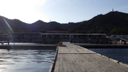 淡路じゃのひれフィッシングパーク 釣果