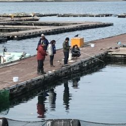 淡路じゃのひれフィッシングパーク 釣果