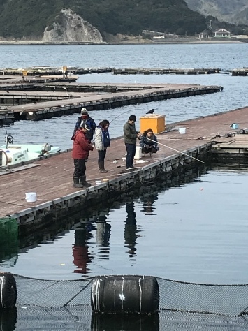 淡路じゃのひれフィッシングパーク 釣果