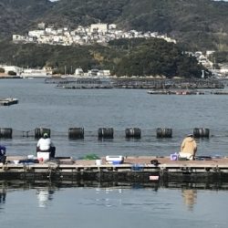 淡路じゃのひれフィッシングパーク 釣果