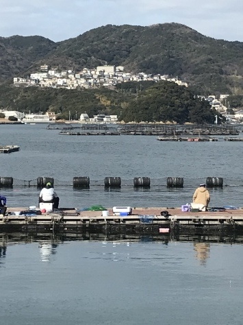 淡路じゃのひれフィッシングパーク 釣果