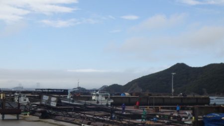 淡路じゃのひれフィッシングパーク 釣果