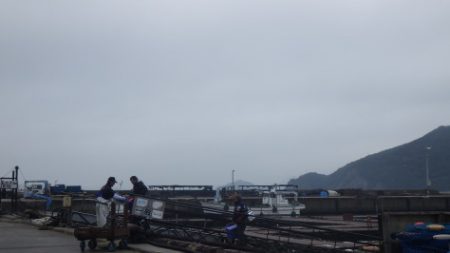 淡路じゃのひれフィッシングパーク 釣果