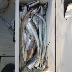 遊漁船 ニライカナイ 釣果