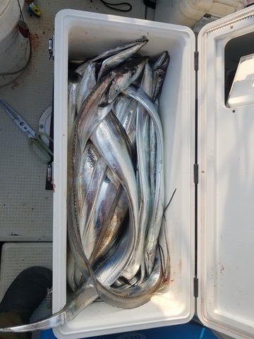 遊漁船 ニライカナイ 釣果