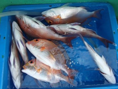 第二むつ漁丸 釣果