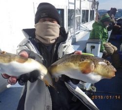 石川丸 釣果