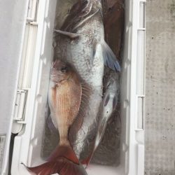 龍宮丸 釣果