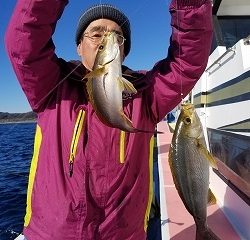 しまや丸 釣果