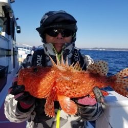 しまや丸 釣果
