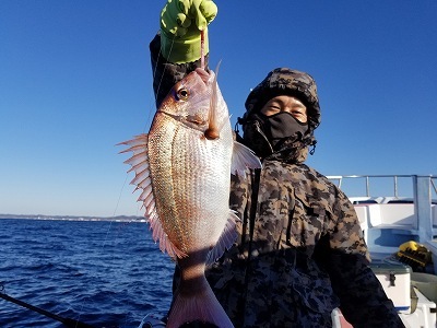 しまや丸 釣果