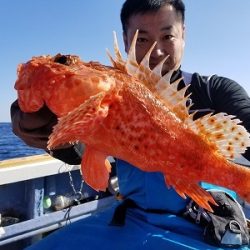 しまや丸 釣果