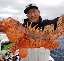 しまや丸 釣果