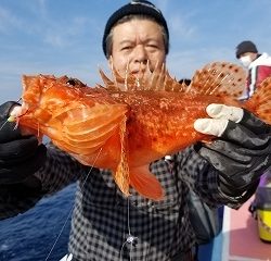しまや丸 釣果