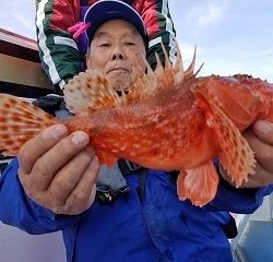 しまや丸 釣果