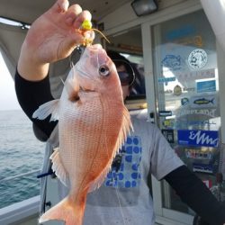 遊漁船　ニライカナイ 釣果