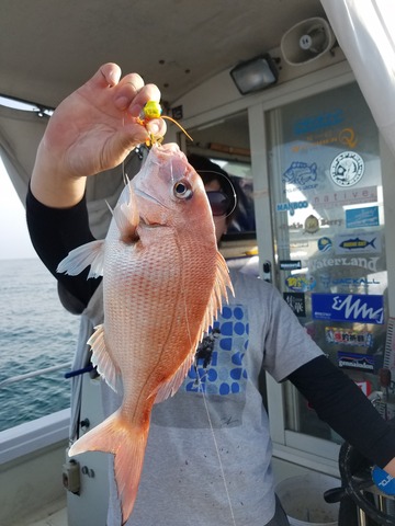 遊漁船　ニライカナイ 釣果