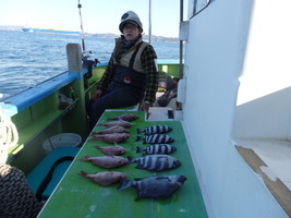 久里浜黒川本家 釣果