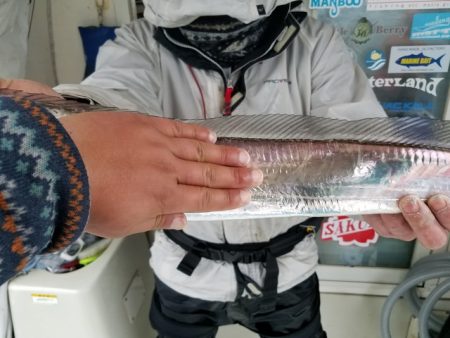 遊漁船　ニライカナイ 釣果