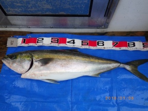 石川丸 釣果