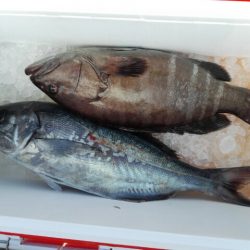 第二大福丸 釣果