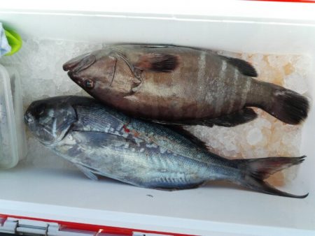 第二大福丸 釣果