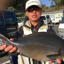 鵜来島家本渡船 釣果