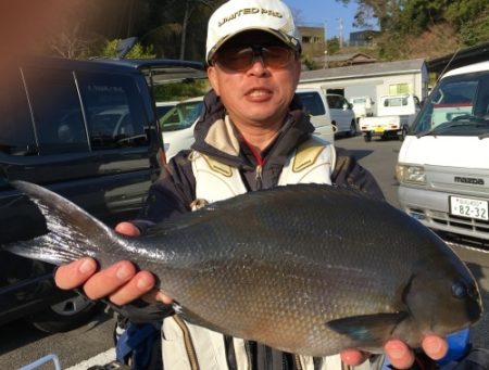 鵜来島家本渡船 釣果