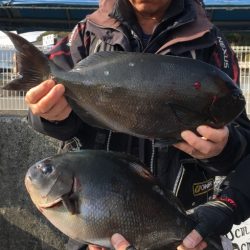 鵜来島家本渡船 釣果