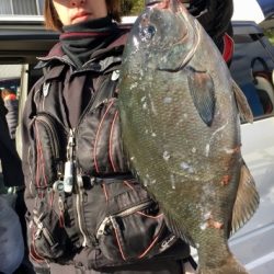 鵜来島家本渡船 釣果