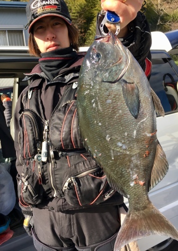 鵜来島家本渡船 釣果