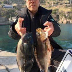 鵜来島家本渡船 釣果