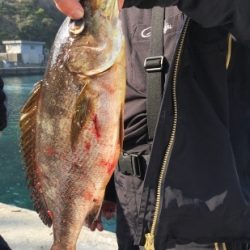 鵜来島家本渡船 釣果