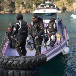 鵜来島家本渡船 釣果