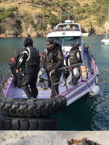 鵜来島家本渡船 釣果