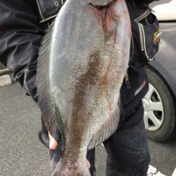 鵜来島家本渡船 釣果