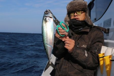 へいみつ丸 釣果