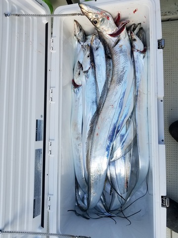 遊漁船　ニライカナイ 釣果