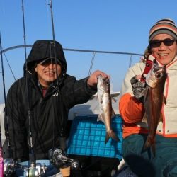 へいみつ丸 釣果
