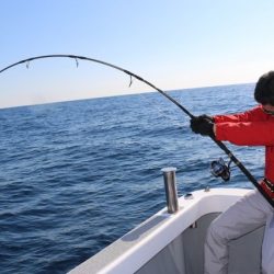 へいみつ丸 釣果