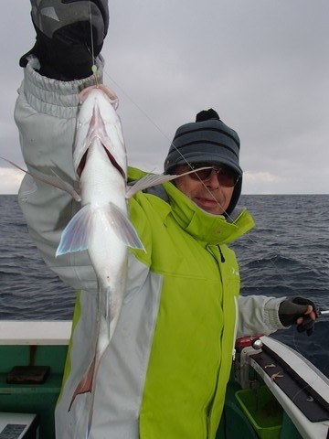 第二むつ漁丸 釣果