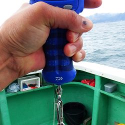 第三むつりょう丸 釣果