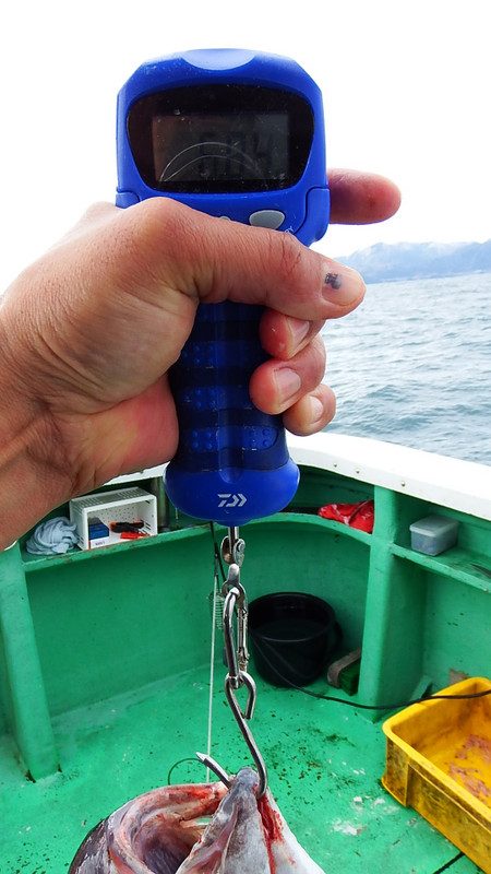 第三むつりょう丸 釣果