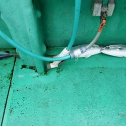 第三むつりょう丸 釣果