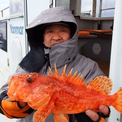 第三むつりょう丸 釣果